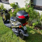 Honda NPS50 ZOOMER 50 6