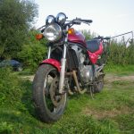 Kawasaki ER 5 ER500A 3