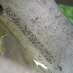 Yamaha FZR1000 Typ 3LF 50