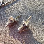 Yamaha XT500 Typ 1U6 161