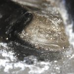 Yamaha XT500 Typ 1U6 209