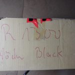 Suzuki GSXR1300 Hayabusa Soziusabdeckung Suzuki GSXR1300 Hayabusa Soziusabdeckung 7