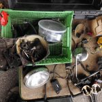 HONDA CB400N Restteile 13