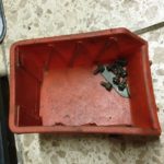 Kawasaki NINJA ZX 12R 42