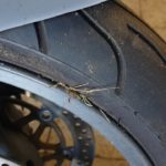 Kawasaki ZX 9R ZX900C 46