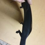 Kawasaki Seitendeckel 170