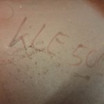 Kawasaki Seitendeckel 247