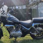 Suzuki VL125 Intruder Seitenträger unverbastelt