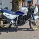 Honda XL600V PD06 Motor Vergaser 48