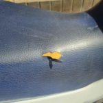 Honda XL600V PD06 Motor Vergaser 73