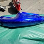 Ersatzteile spare-parts Suzuki SV650 N S: 1x Seiten Heck -Deckel -Verkleidung hinten rear cover fairing 20220602 125824