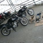 Honda XBR500 PC15 Einzylinder SOS Oldtimer 44PS ERSATZTEILE GB500 5